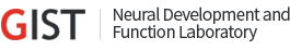 Neural Development and Function Laboratory